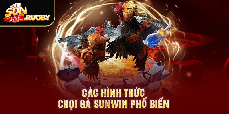 Các hình thức chọi gà Sunwin phổ biến