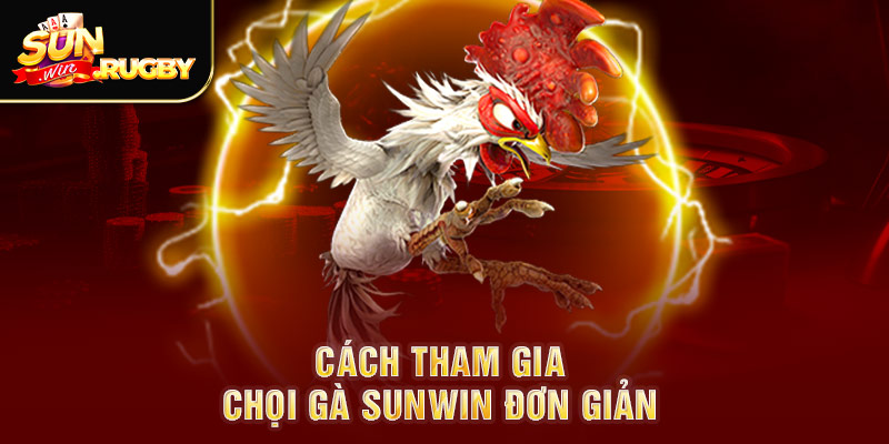 Cách tham gia chọi gà Sunwin đơn giản