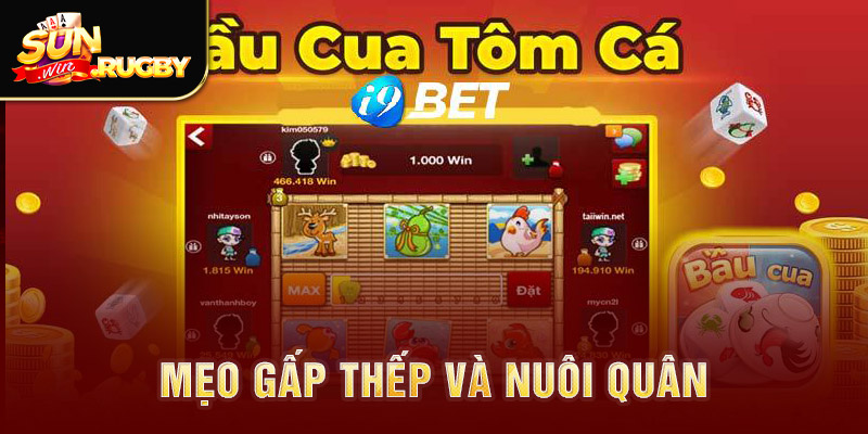 Mẹo gấp thếp và nuôi quân