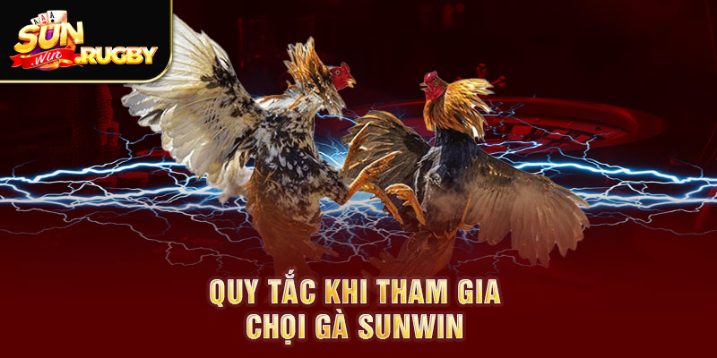 Quy tắc khi tham gia chọi gà Sunwin